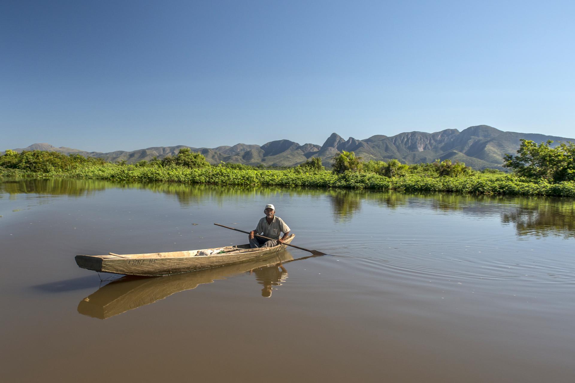 A flooded landscape in the South Pantanal.