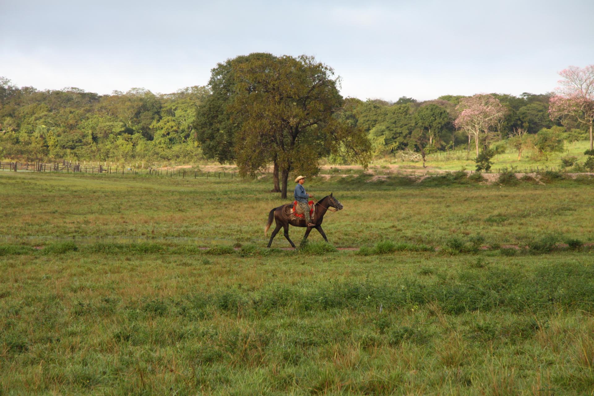 Landscape and riders in Mato Grosso do Sul