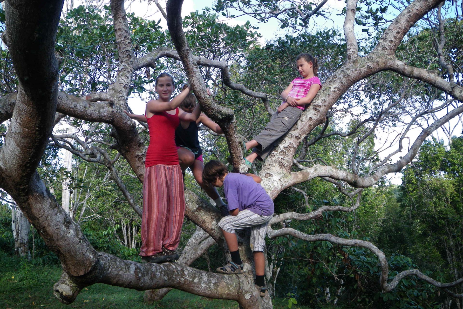 Dia das Criancas: Brazilian Children's Day