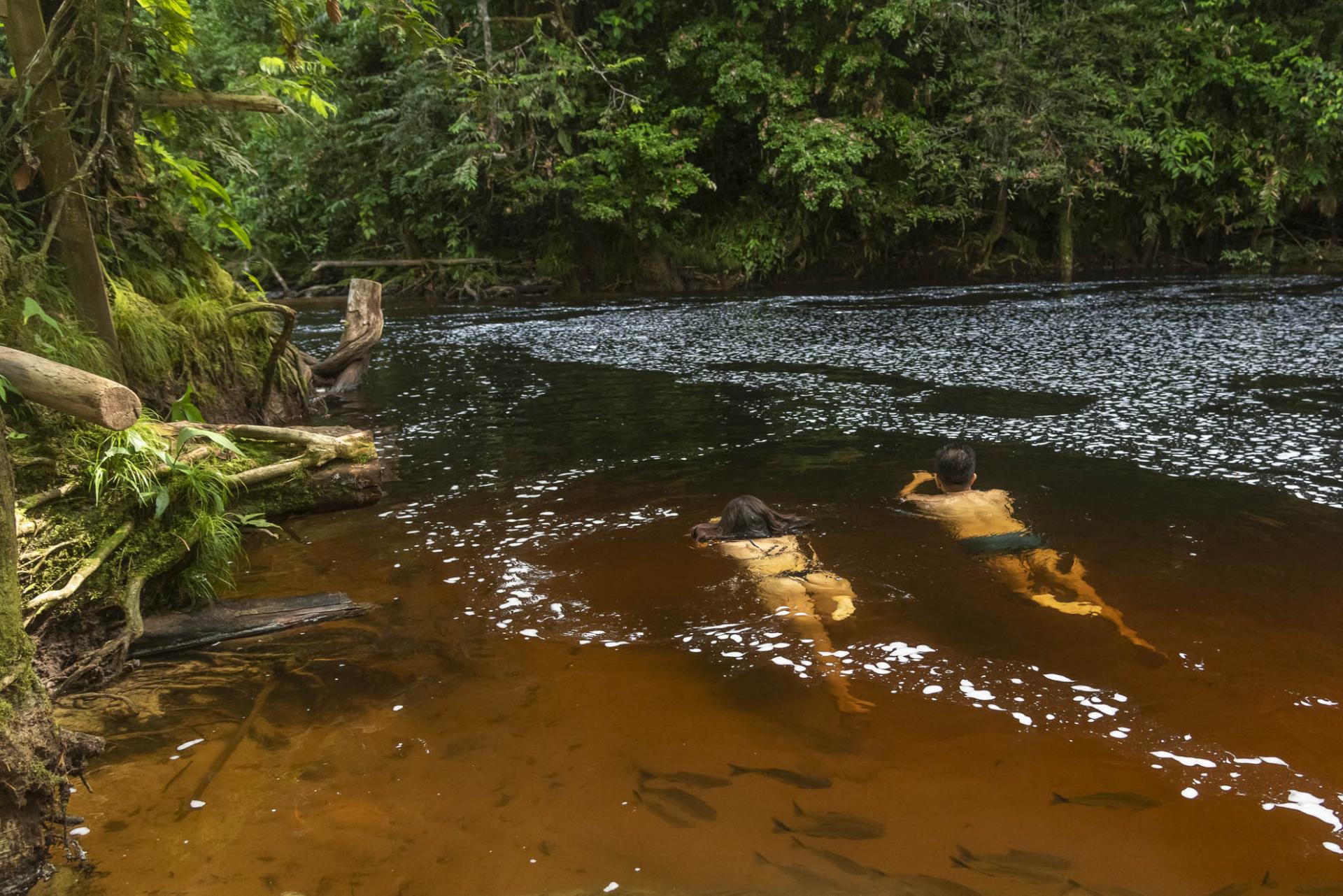 The fascinating Jau National Park in the Brazilian Amazon