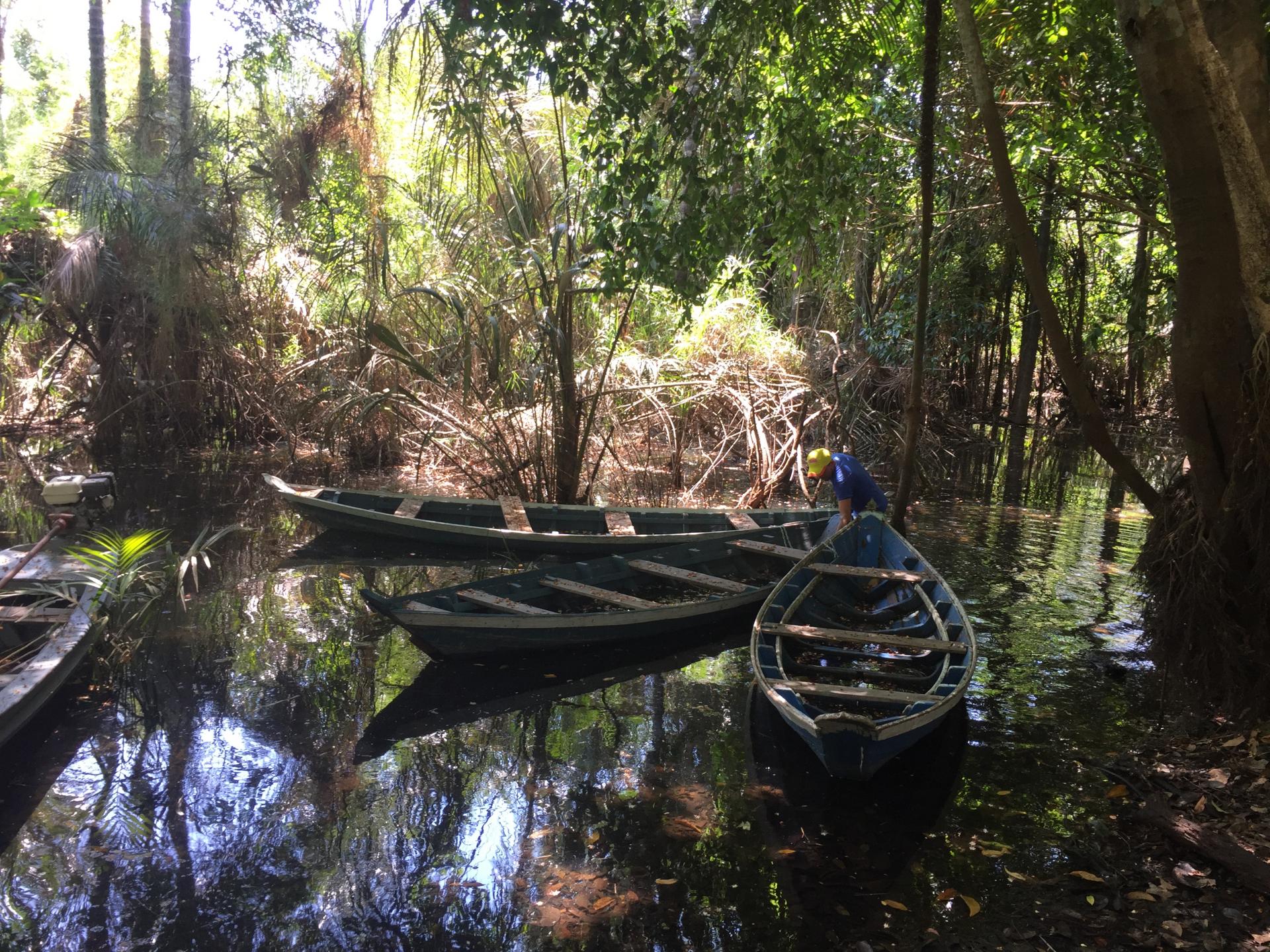 The original Amazon lifestyle can be experienced at Rio Arapiuns Experience the Amazon lifestyle at Rio Arapiuns