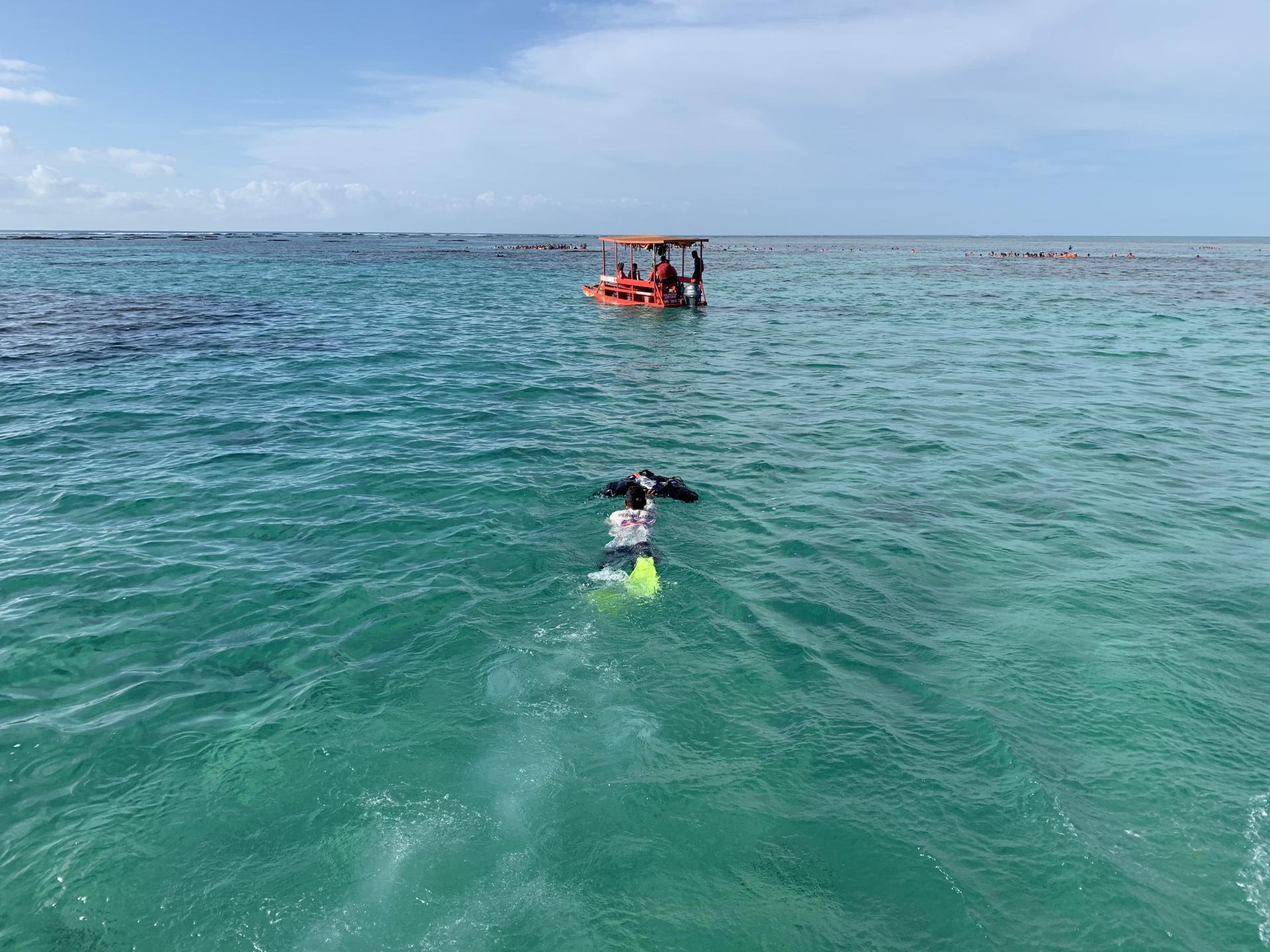 Snorkeling at the beach of Maragogi