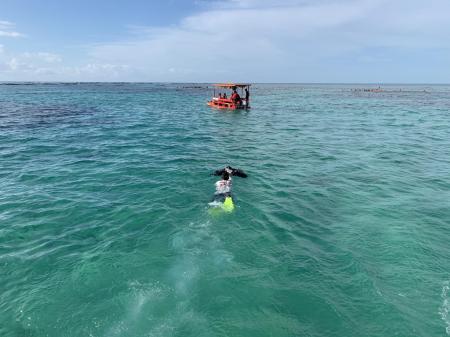 Snorkeling at the beach of Maragogi