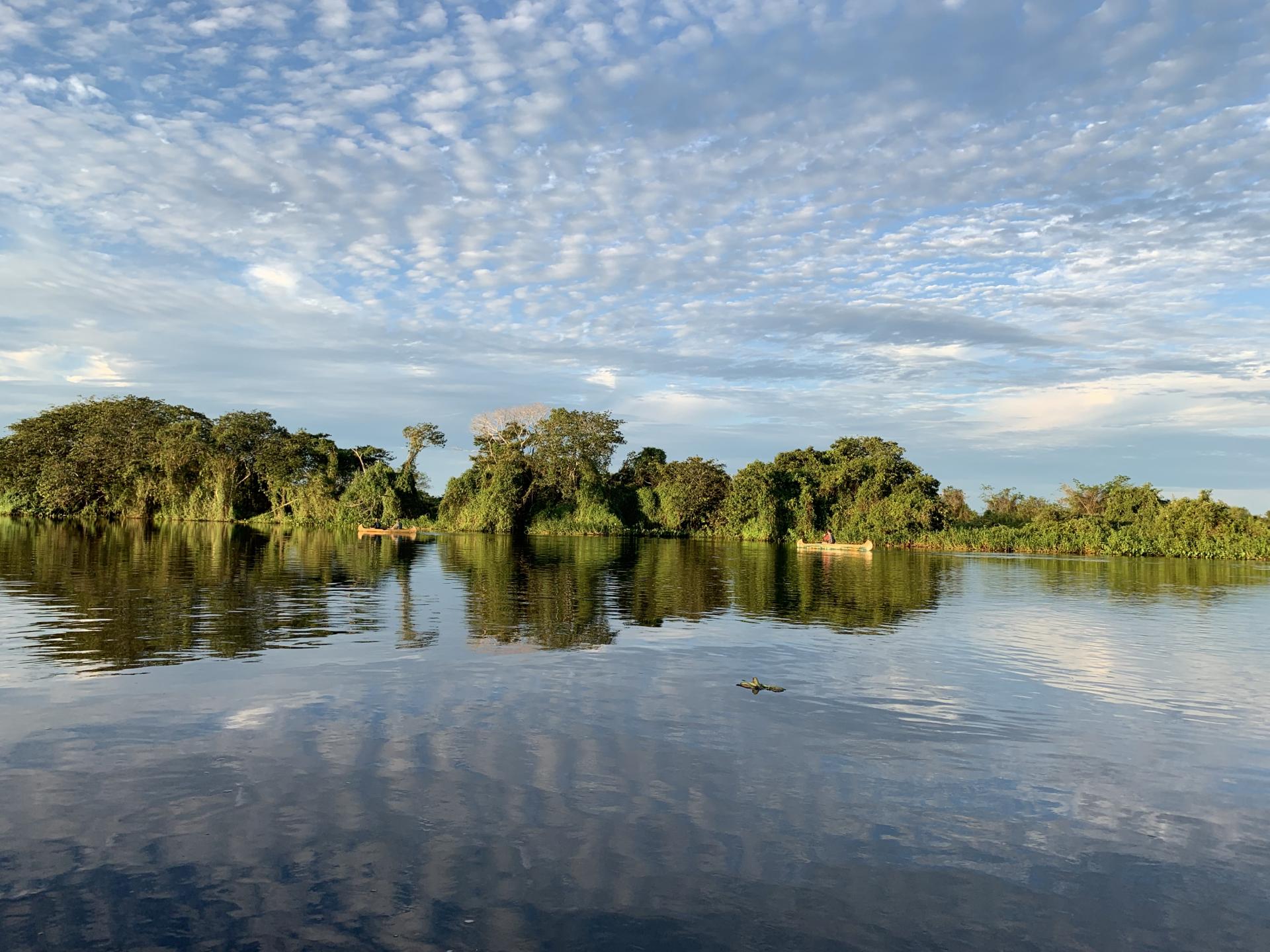 The Pantanal is a fascinating national park landscape in Brazil