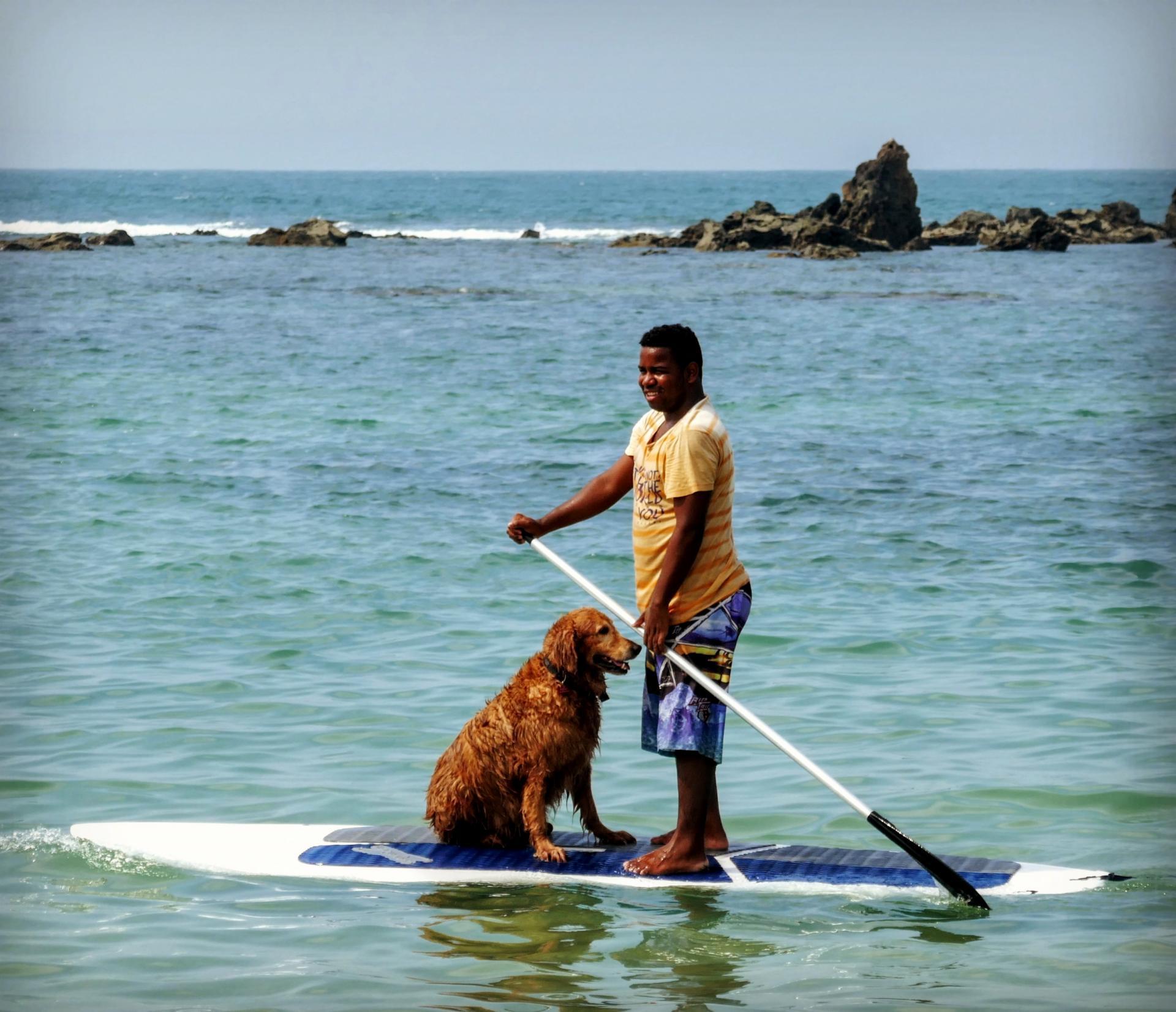 Stand Up Paddle: Brazilian and dog