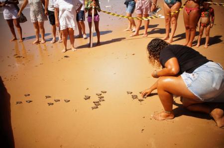 Projeto Tamar protects Sea Turtles in Brazil