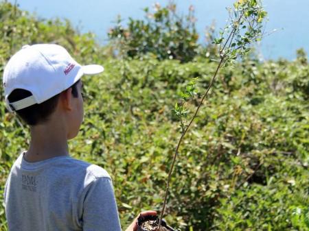 A boy plants a tree on the island of Florianopolis in Brazil