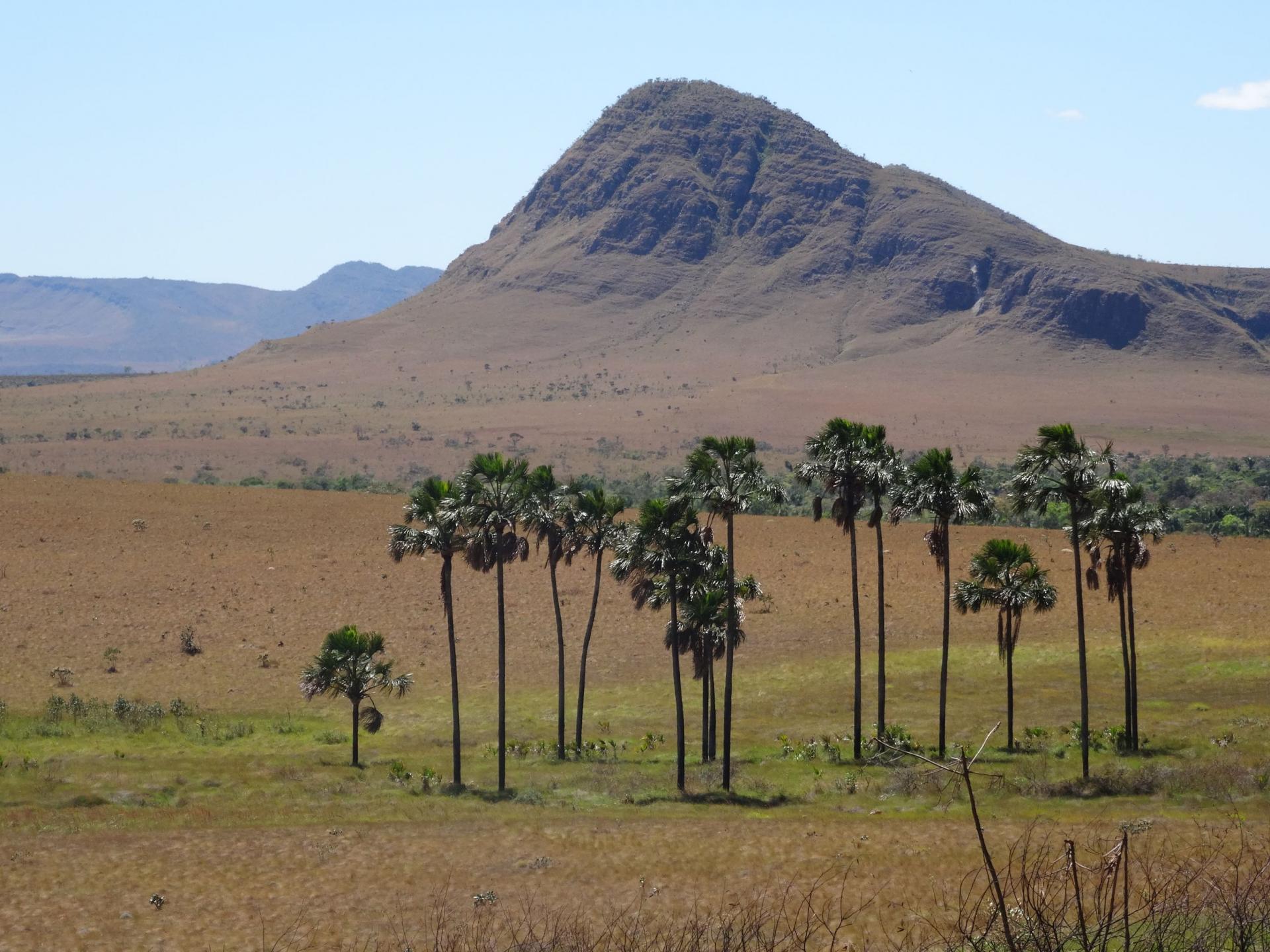 The breathtaking landscape of Chapada dos Veadeiros 