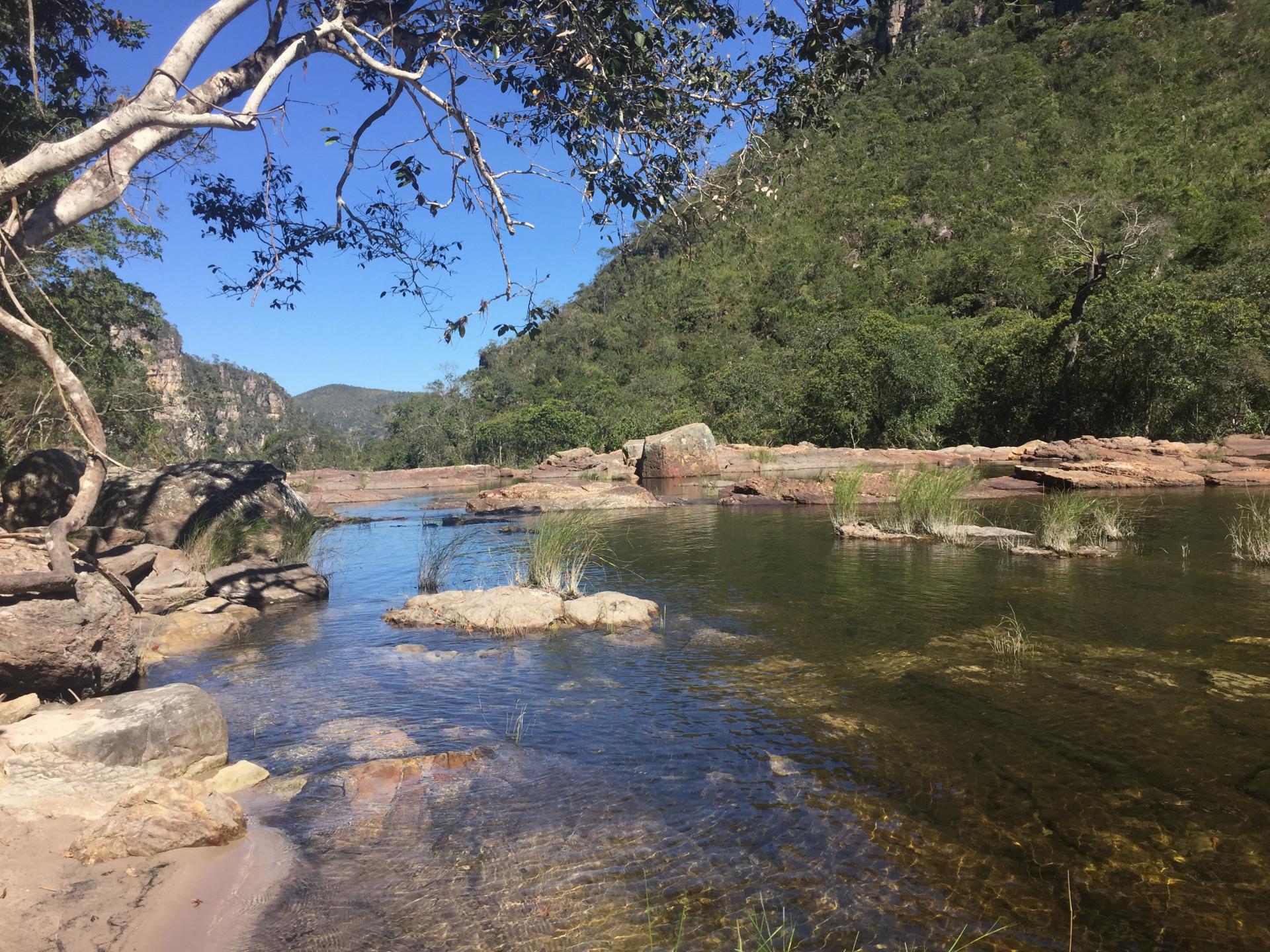 Perfect for the Pato Mergulhao: Untouched nature in Chapada dos Veadeiros