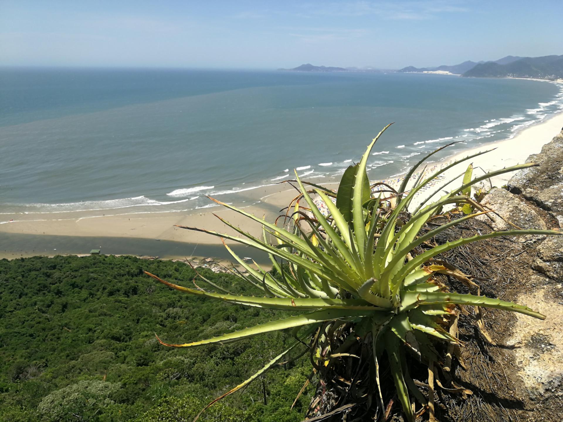 Beach panorama at Vale da Utopia in Santa Catarina