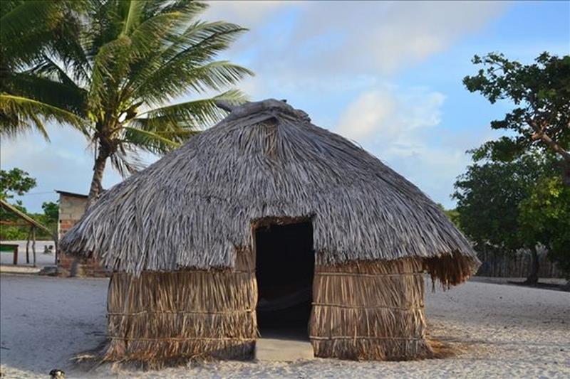 Hut in the Brazilian Amazon