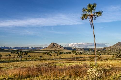 Chapada dos Veadeiros