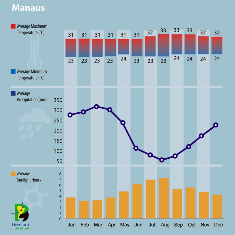 Climate diagram of Manaus, Brazil 