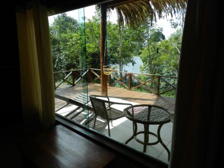 View from a window of a bungalow on a lush garden at Amazon Turtle Lodge