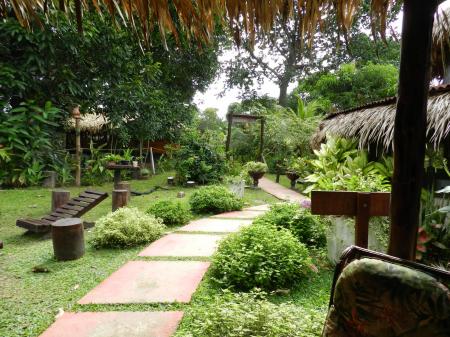A lush green garden area with seats at Amazon Turtle Lodge