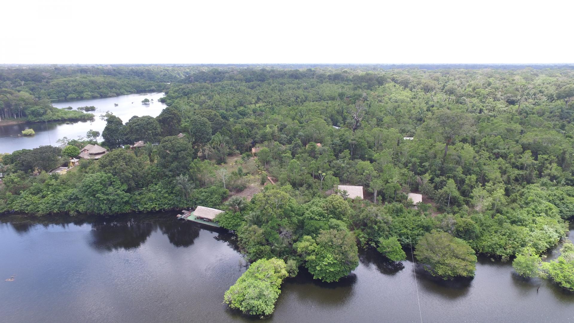 Aerial view of the Amazon Rainforest and Turtle Lodge