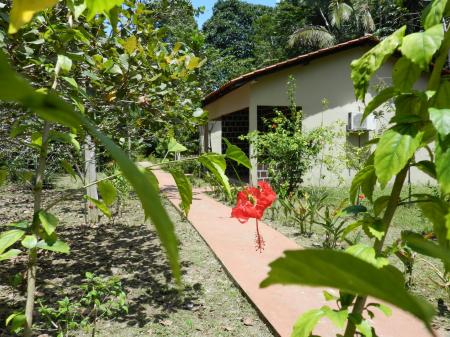 A cororful garden with hibiscus flowers at Amazon Turtle Lodge