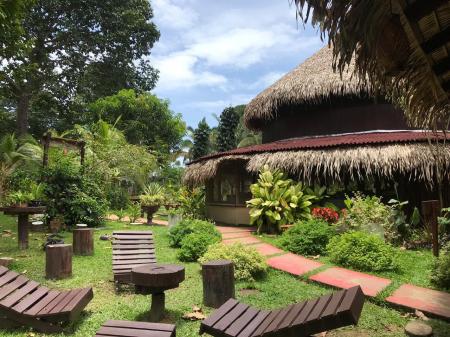 Outdoor garden area at Amazon Turtle Lodge