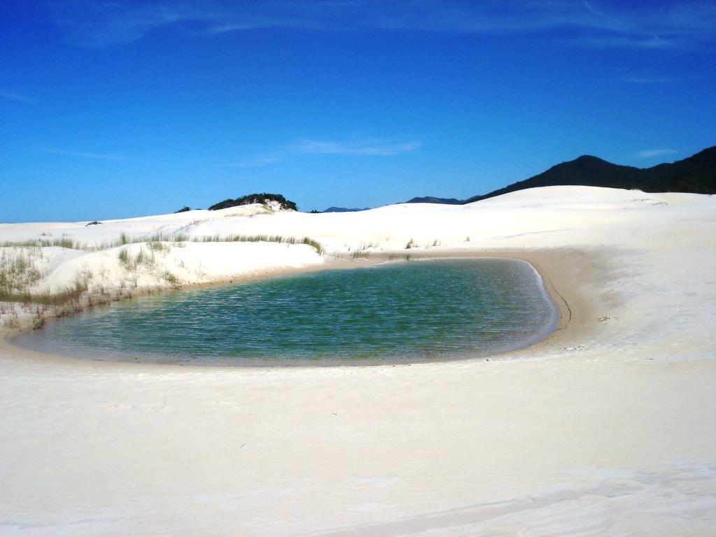Green lagoon in the dunes of Florianopolis