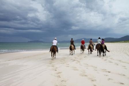 Horseback riding in a small group at a lonly beach in Floripa