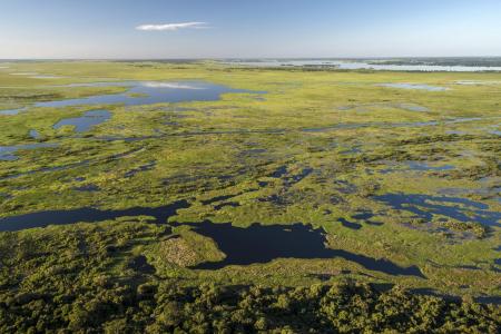 Aerial view of one of the biggest wetlands of the world, the Pantanal