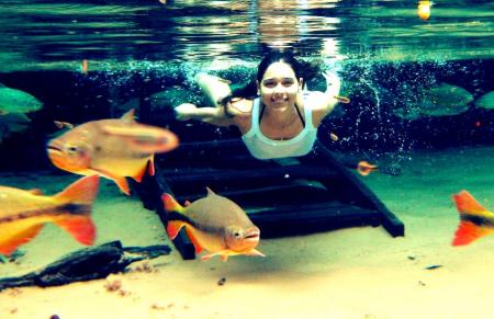 A visitor swimming with colorful fish, during a snorkeling trip in Bonito