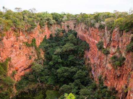 This sinkhole is home to over 120 red macaws in Bonito