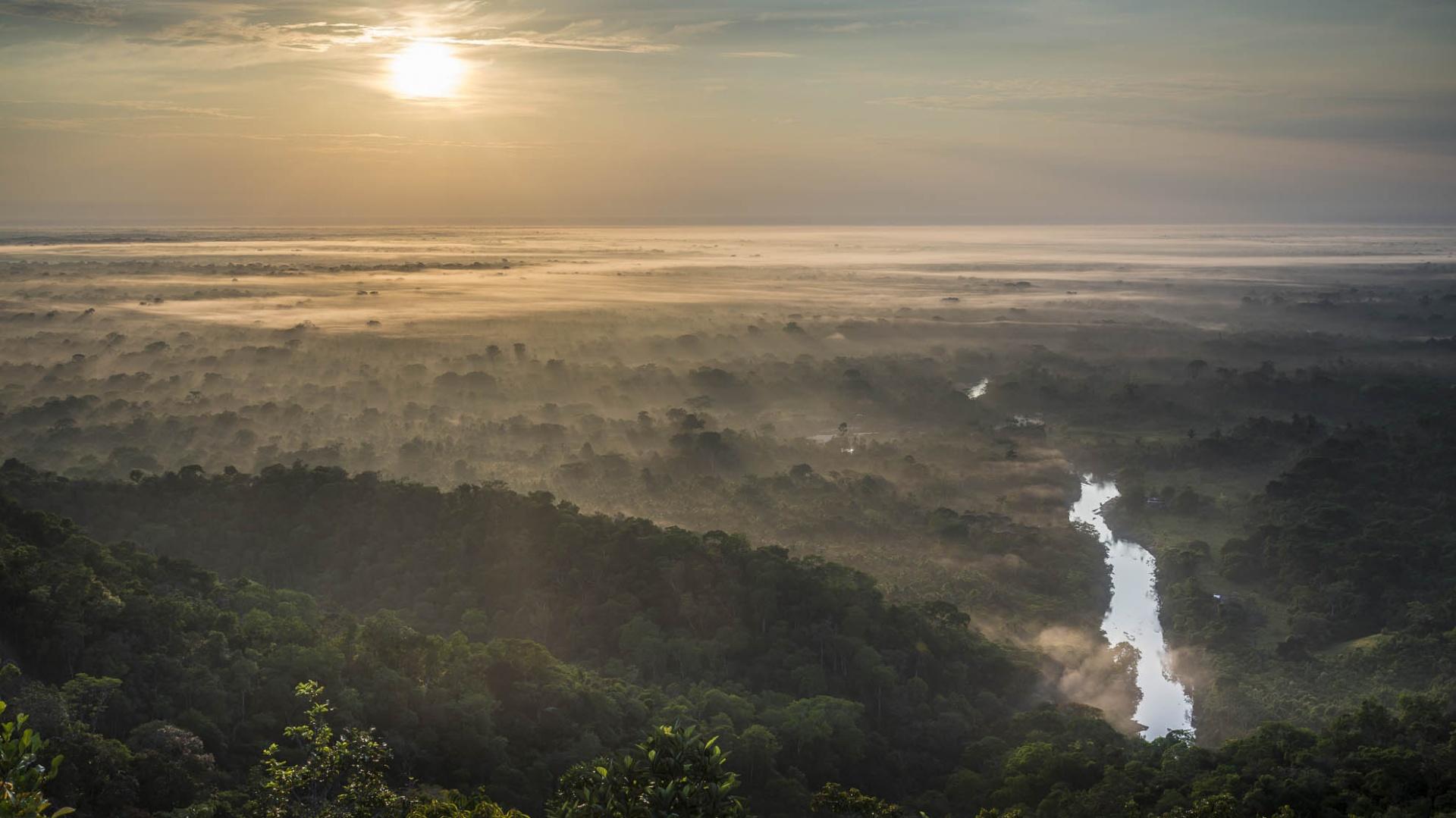 Wonderful view of the Amazon Rainforest at sunrise
