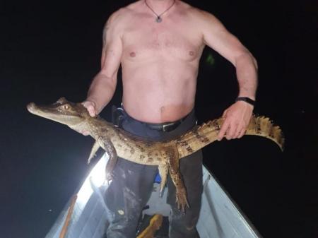 A man holding a caiman in the Amazon Rainforest