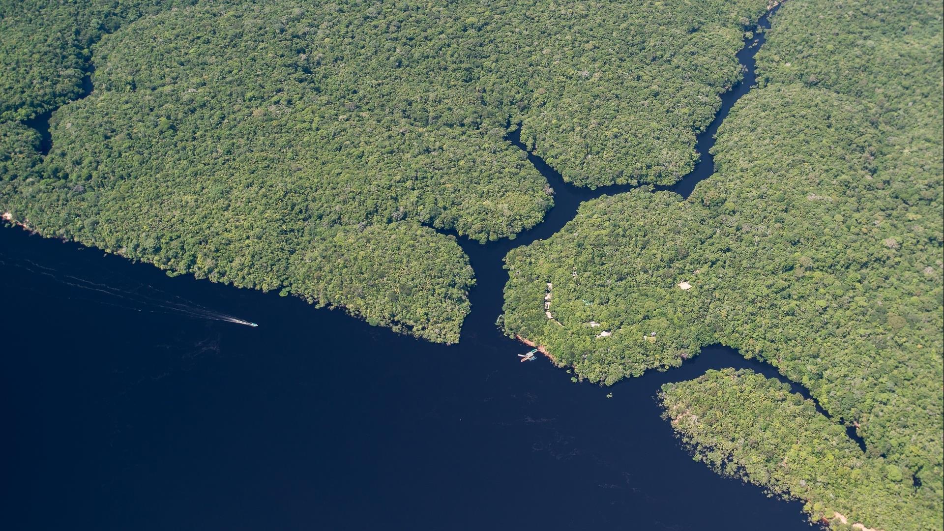 Aerial view of the Anavilhanas archipelago near to Anavilhanas Jungle Lodge