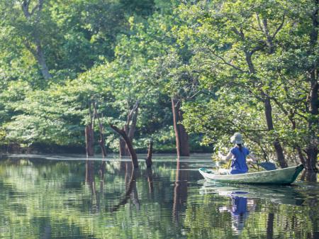 Anavilhanas Jungle Lodge Canoe on the Amazon river