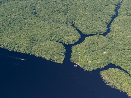 Aerial view of the Anavilhanas archipelago