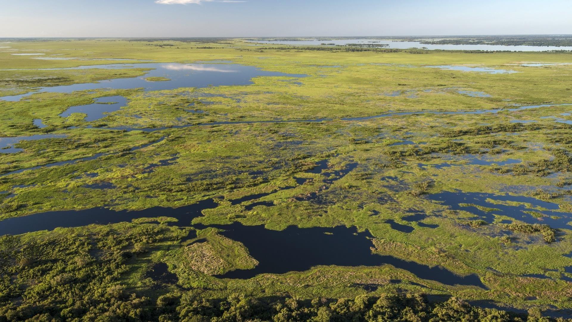 Aerial view of the Wetlands near to Pousada Piuval, Brazil - North Pantanal