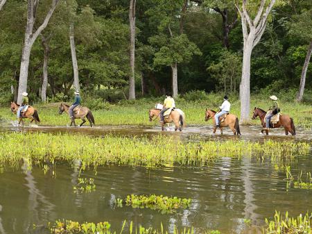 Horseback Riding at the wetlands near to Pousada Piuval 