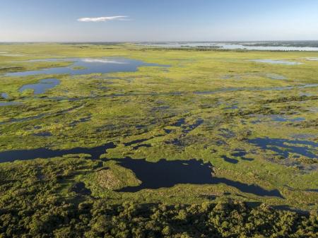 North Pantanal Region