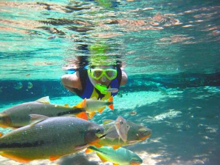 Floating in a river near to Pousada Reino Encantado, Bom Jardim