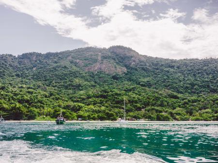 The green sea in front of the lush green mountains of the Atlantic Rainforest of Ilha Grande