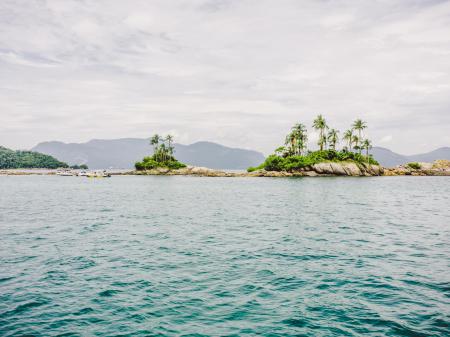 Palm trees on a small island near to Ilha Grande