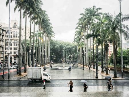 A mainplaza with palm trees in Sao Paulo, Brazil