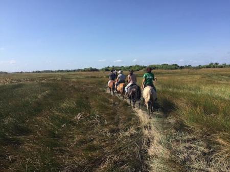 Horseback riding at Fazenda Sanjo, Ilha de Marajo - Brazil