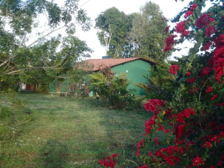 Bungalows surounded by tropical flowers and lush green gardens at Pousada Fazenda Rio Negro in Nilo Pecanha