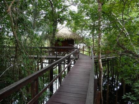 Amazon Juma Lodge: Pier over the water between the rooms and the restaurant