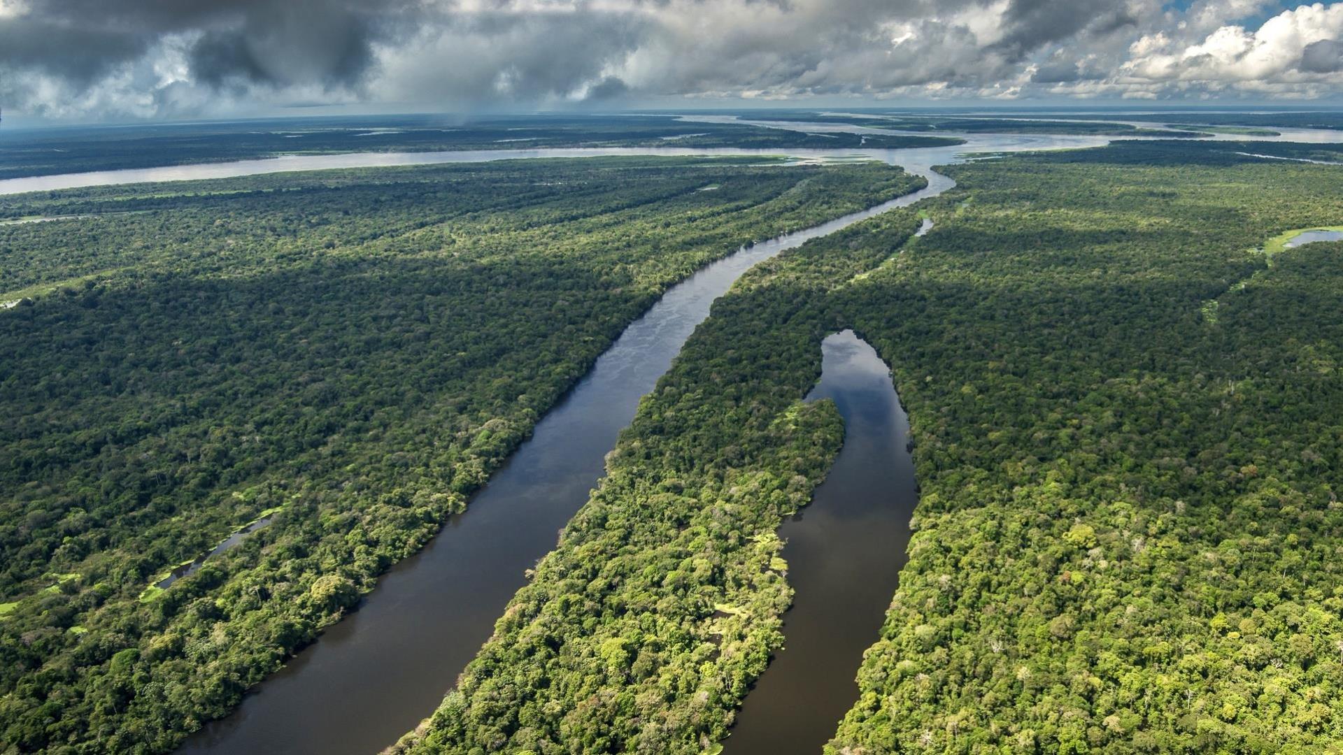 Two river arms in the Amazon Rainforest around Tefe, Brazil