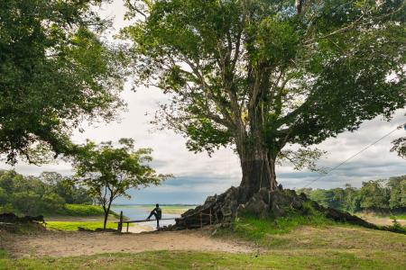 A visitor enjoying the view of the Amazon Rainforest at Uakari Lodge