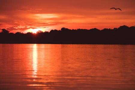 Sunset near Uakari Lodge