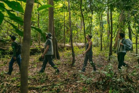 An experienced guide with three visitors on a hike in the rainforest