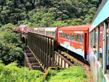 On the way through the rainforest in tourist class on the Serra Verde Express