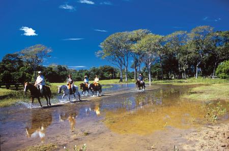 A unique adventure, an excursion through the wetlands of the Pantanal on a horse back