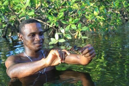 Crab fisherman in the mangroves