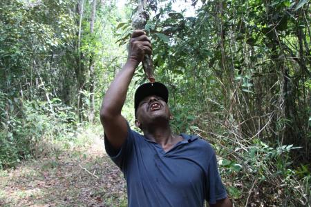 Farmer in Nilo Pecanha